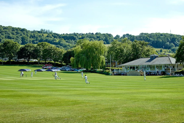 OriginalImage,,Commercial,Original