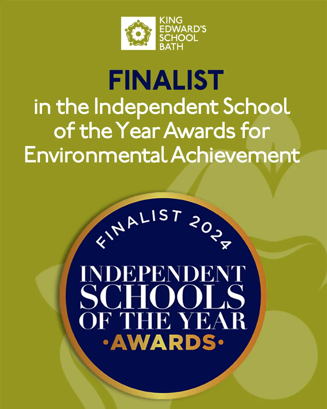  OptimizedImage,,,Optimized