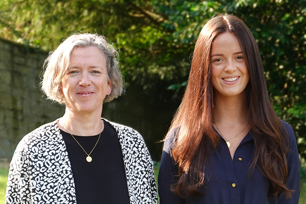 OriginalImage,,Development,Original