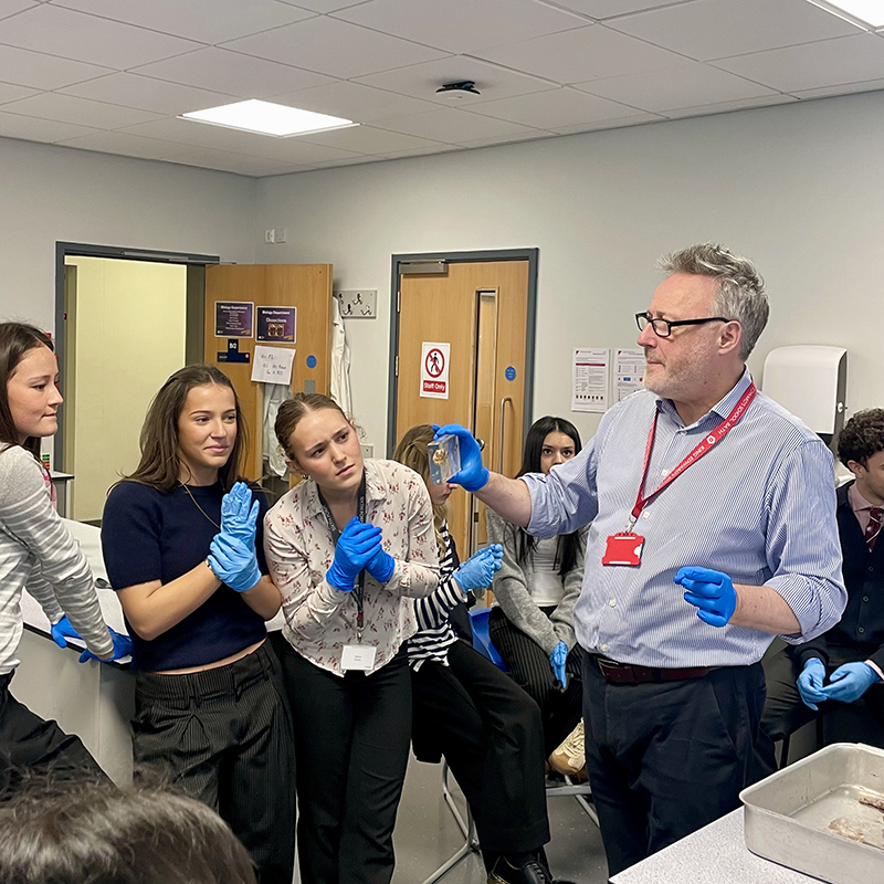 A Level lesson at King Edward's School, Bath, a leading co-educational day school in south west England and The Sunday Times 2026 South West Independent Secondary School of the YearImage,sixth form,news,news post,,Original